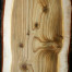 Cedarwood, Himalayan - Cedrus deodora