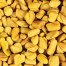 Fenugreek - Trigonella foenumgraecum