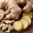Ginger - Zingiber officinale