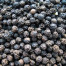 Black Pepper - Piper nigrum