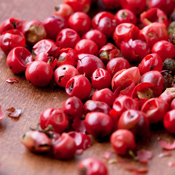 Pink Peppercorn - Schinus molle