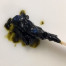 Image of Chamomile Blue CO2 - Organic directly from the bottle. 