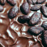 Cocao - Theobroma cacao