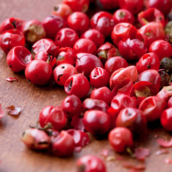 Pink sales peppercorn perfume
