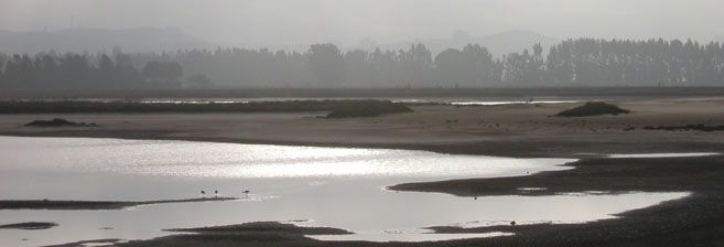 Schollenberg Bird Preserve